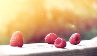 在线短信轰炸机